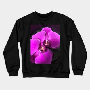 Floating Purple Orchid Crewneck Sweatshirt